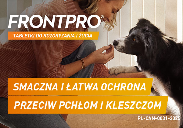 Pobierz obrazki, aby zobaczyć treść.