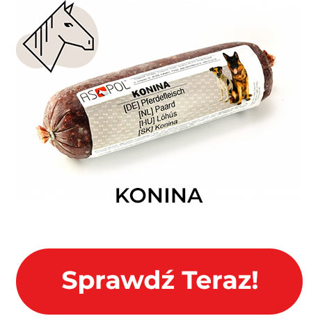 Konina - Sprawdź Teraz!