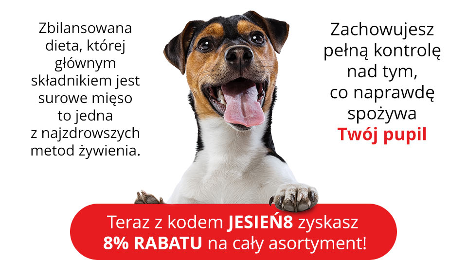 Teraz z kodem JESIEŃ8 zyskasz 8% rabatu na cały asortyment!