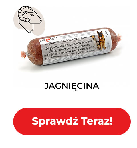 Jagnięcina - Sprawdź Teraz!