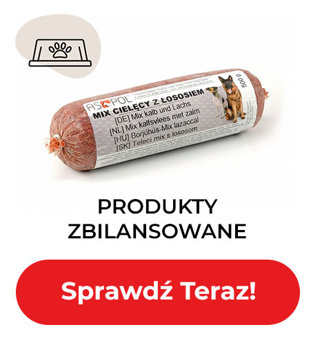 Produkty zbilansowane - Sprawdź Teraz!