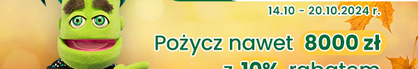 Pożycz nawet 8000 zł RRSO 313,16%